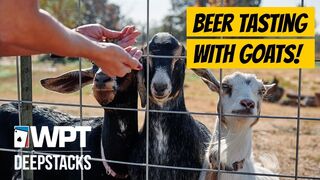 Beer Tasting with Goats at WPTDS Thunder Valley