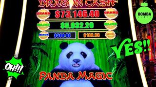 THIS PANDA CAN DANCE!!! #LasVegas #Casino #SlotMachine