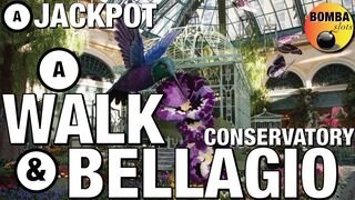 Sunday Stroll on The Strip to The Conservatory at Bellagio + ???? Jackpot on Dragon Link to Wrap it up!